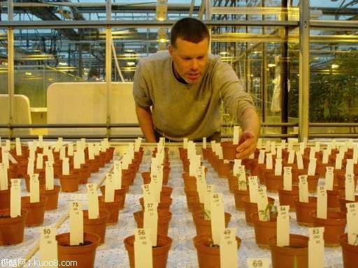 图为荷兰瓦格宁根大学的瓦梅林克正在检查月球和火星“模拟土”中种植的植物。
