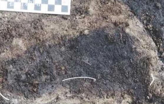 奇闻：加拿大发现古老足迹 1万3千年前人类脚印长啥样？