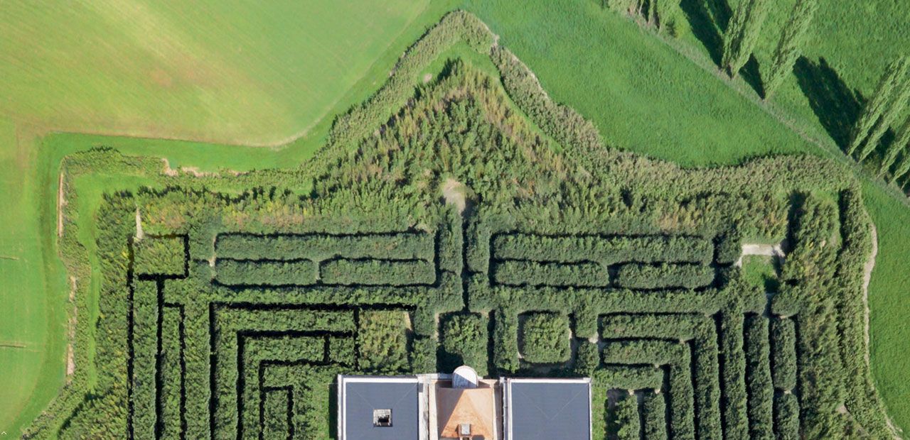 这是世界上最大的室外植物迷宫